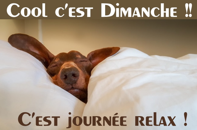 Image avec chien endormi et texte : Cool c’est Dimanche !! C’est journée relax !